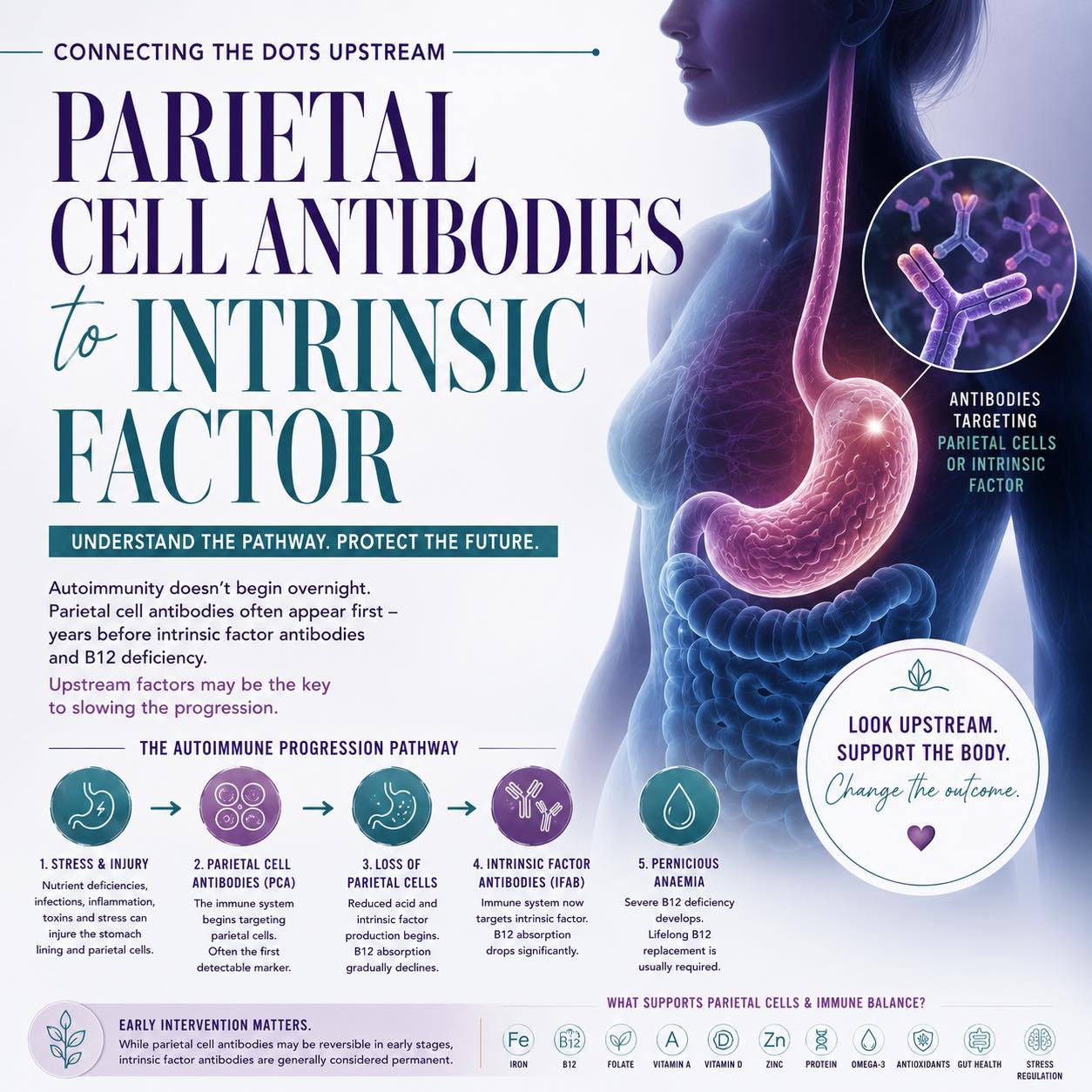 Why do patients with pernicious anemia need lifelong vitamin B12 injections?