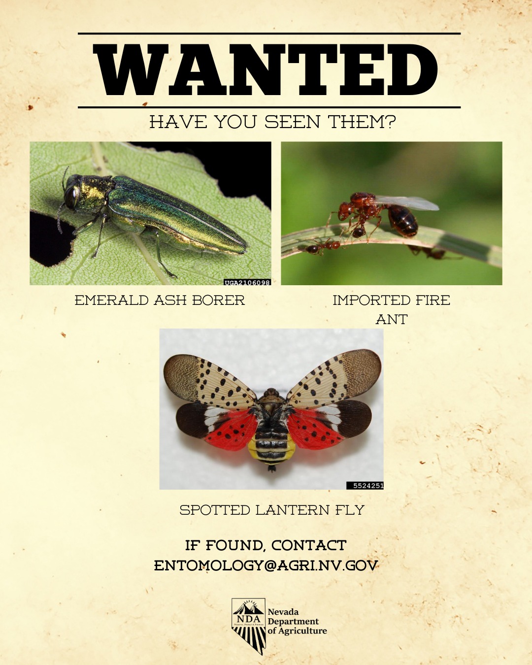 Nevada - This week we are kicking off National Invasive Species ...