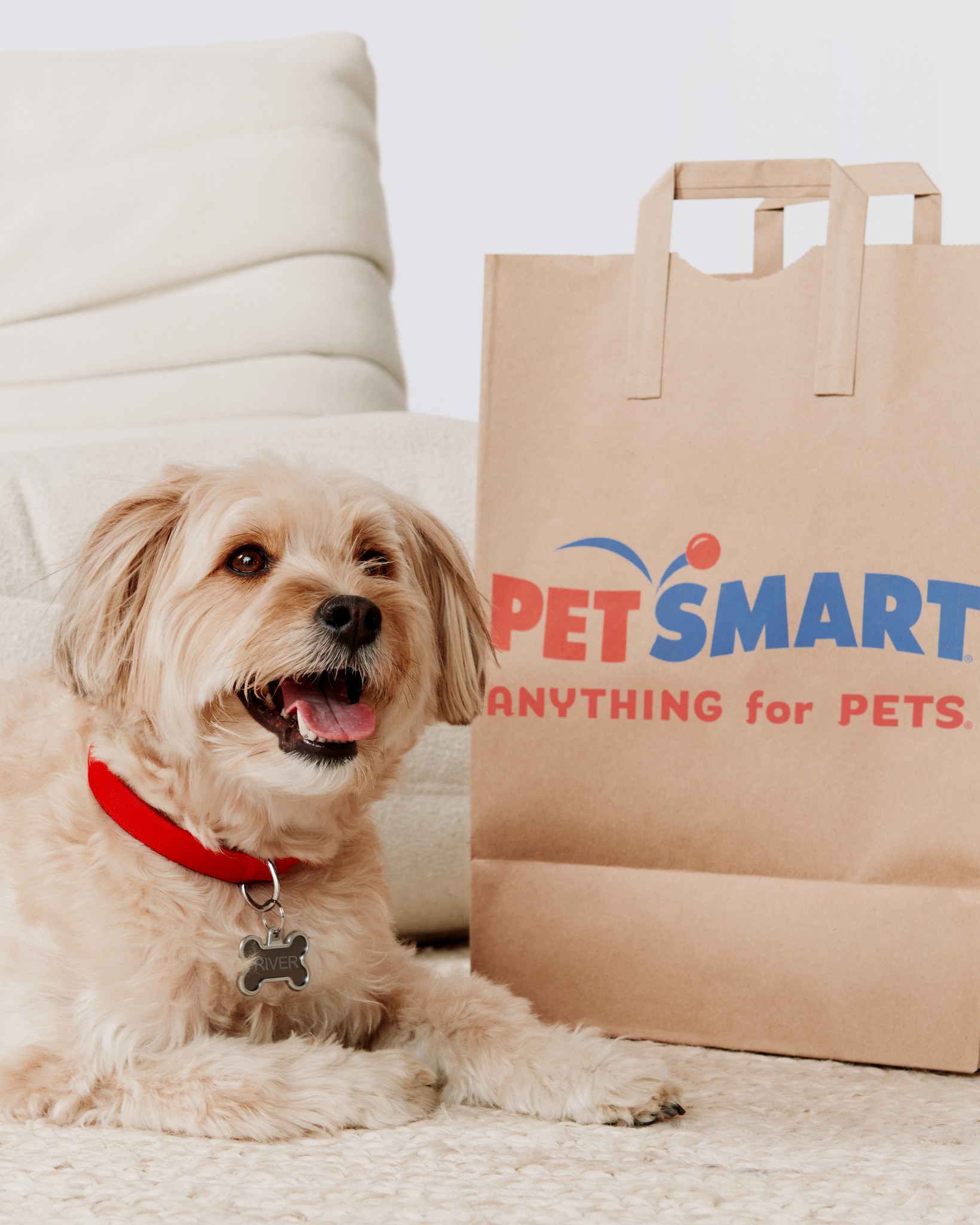 PetSmart - Spring has sprung! 🌸 Add a dash of spring to your dog's next ...