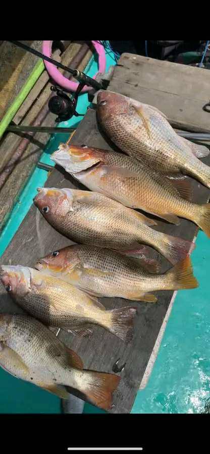 FISH_ HANTER | Facebook