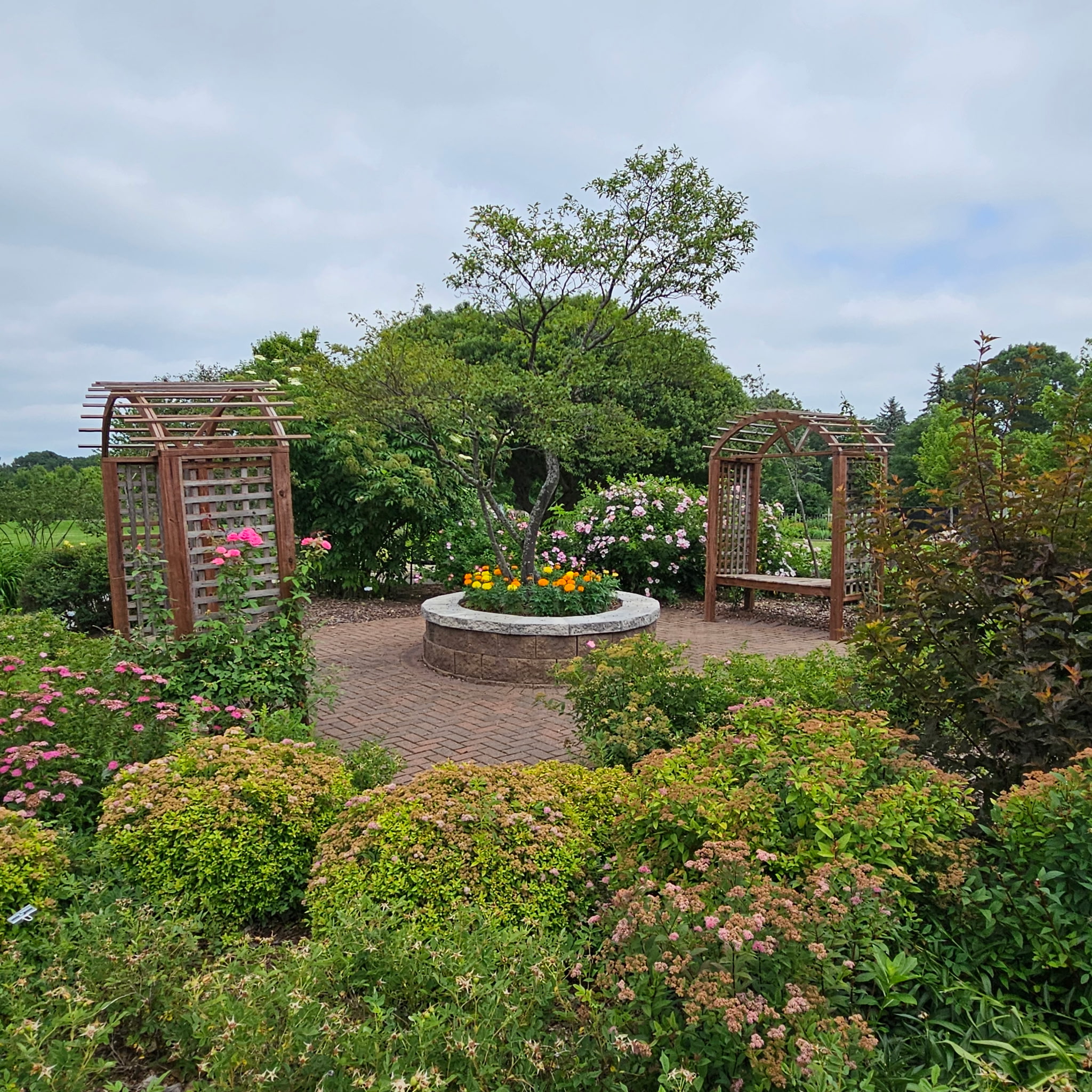 Friends of Scheig Center Gardens | Appleton WI