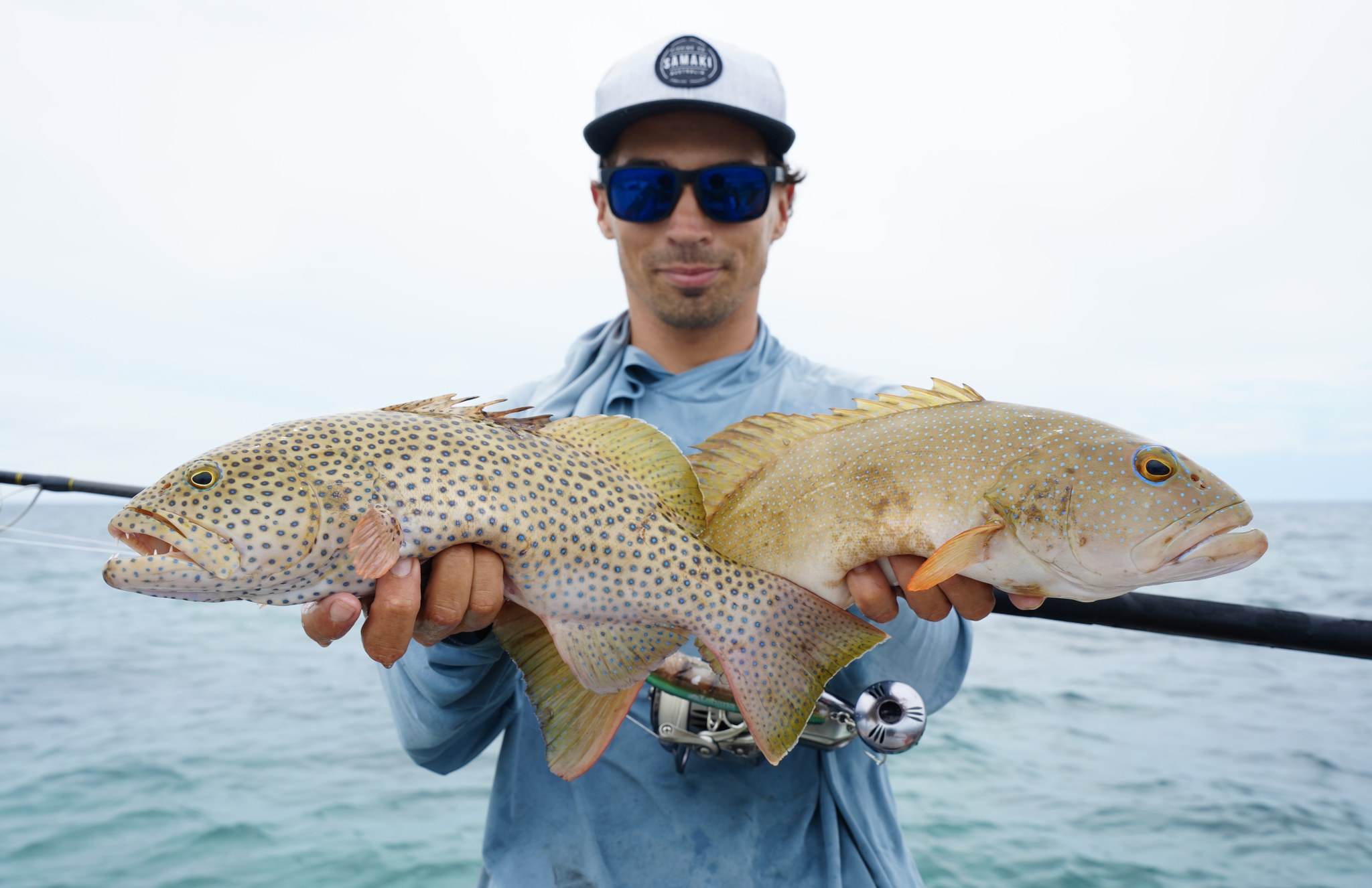 Samaki - Can you name the 6 species of coral trout commonly caught in ...