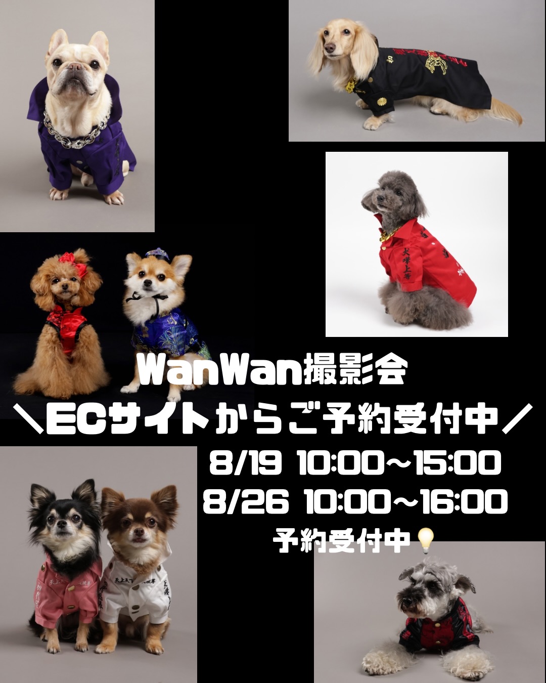 こんにちは！DBYです🐕✨ 本日は、名入れオーダーいただきました 柴犬