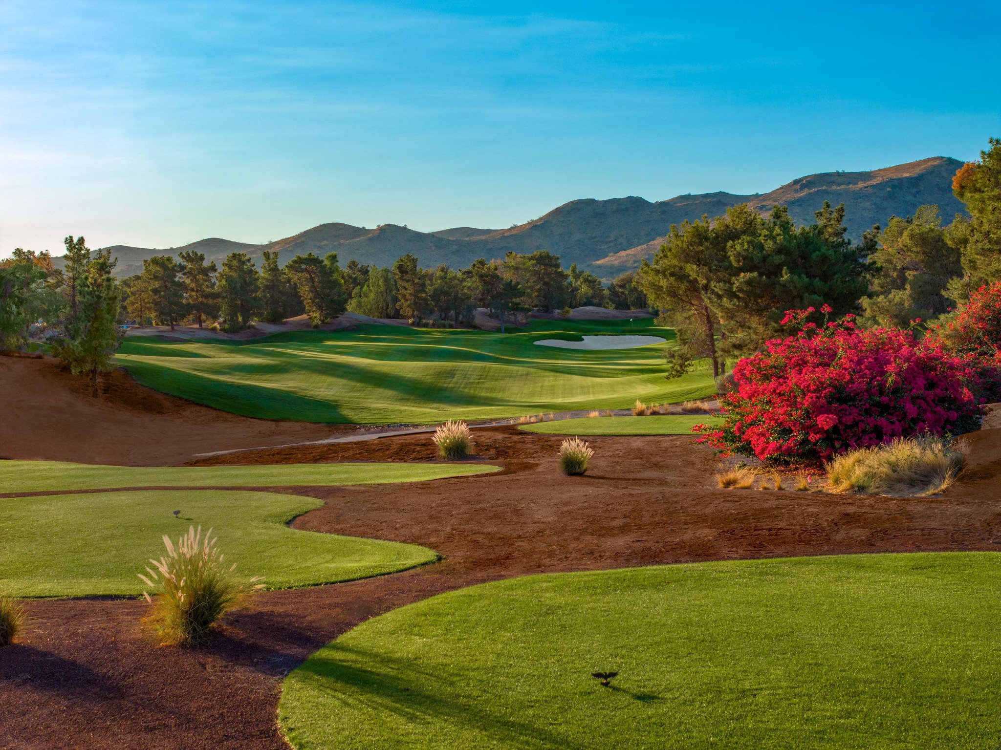 Raven - 🏌️‍♂️🌟 We’re thrilled to announce that Raven Golf Club has been ...