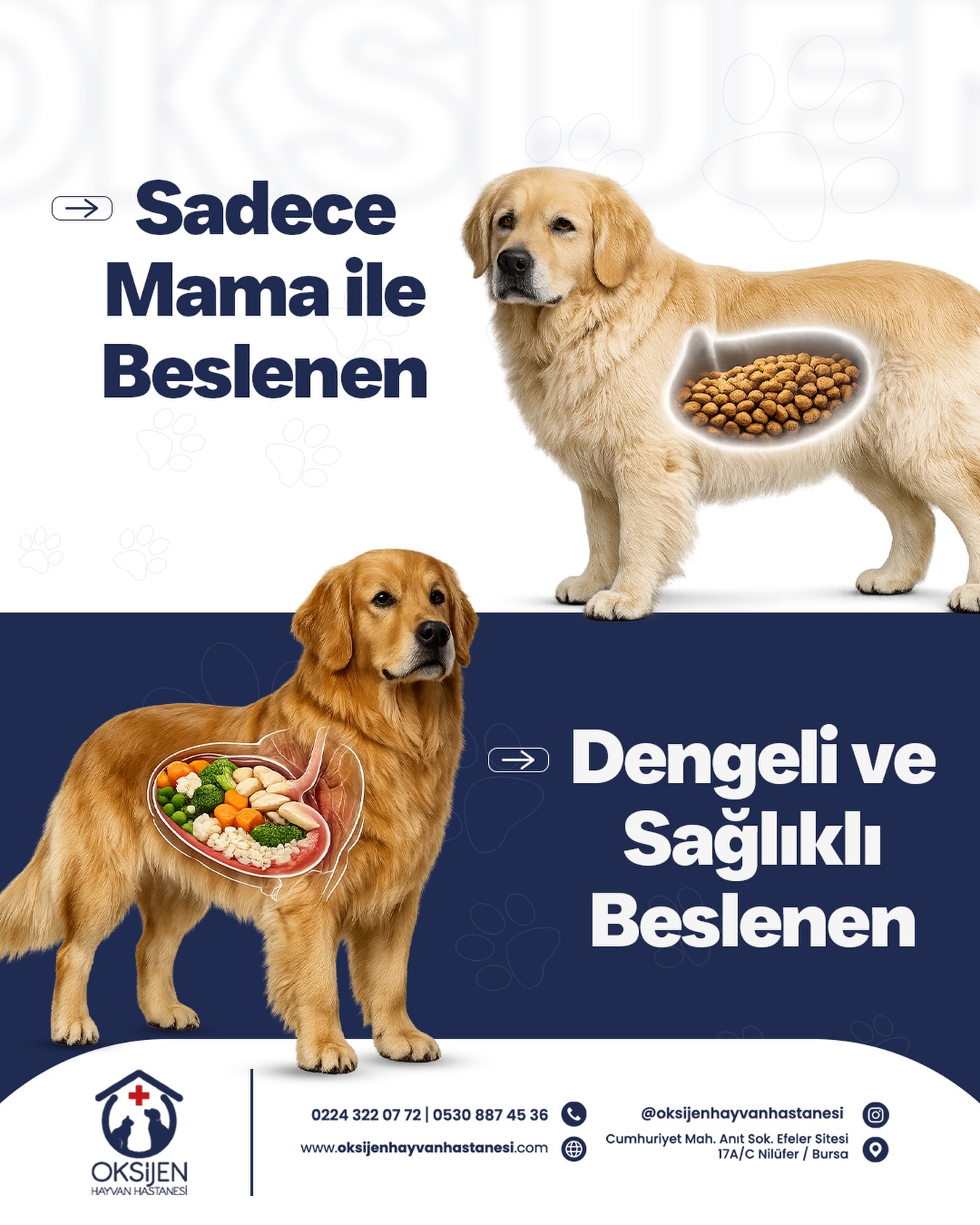 Oksijen Hayvan Hastanesi (@oksijenhayvanhastanesi) • Facebook