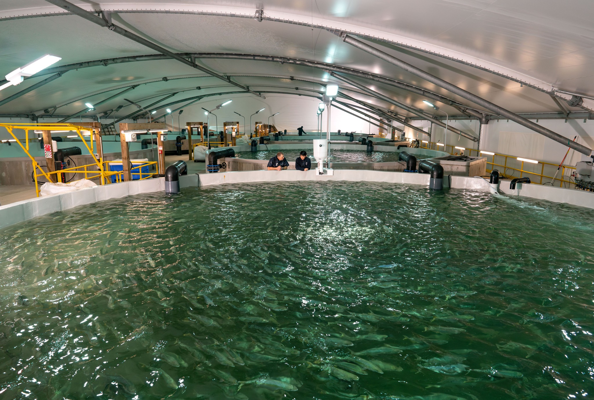 NIWA New Zealand - Congratulations to NIWA’s Recirculating Aquaculture ...