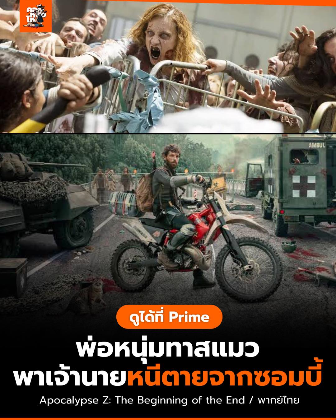 คอหนังโหด - เรื่องราวพ่อหนุ่มของทาสแมว 🐈... | Facebook