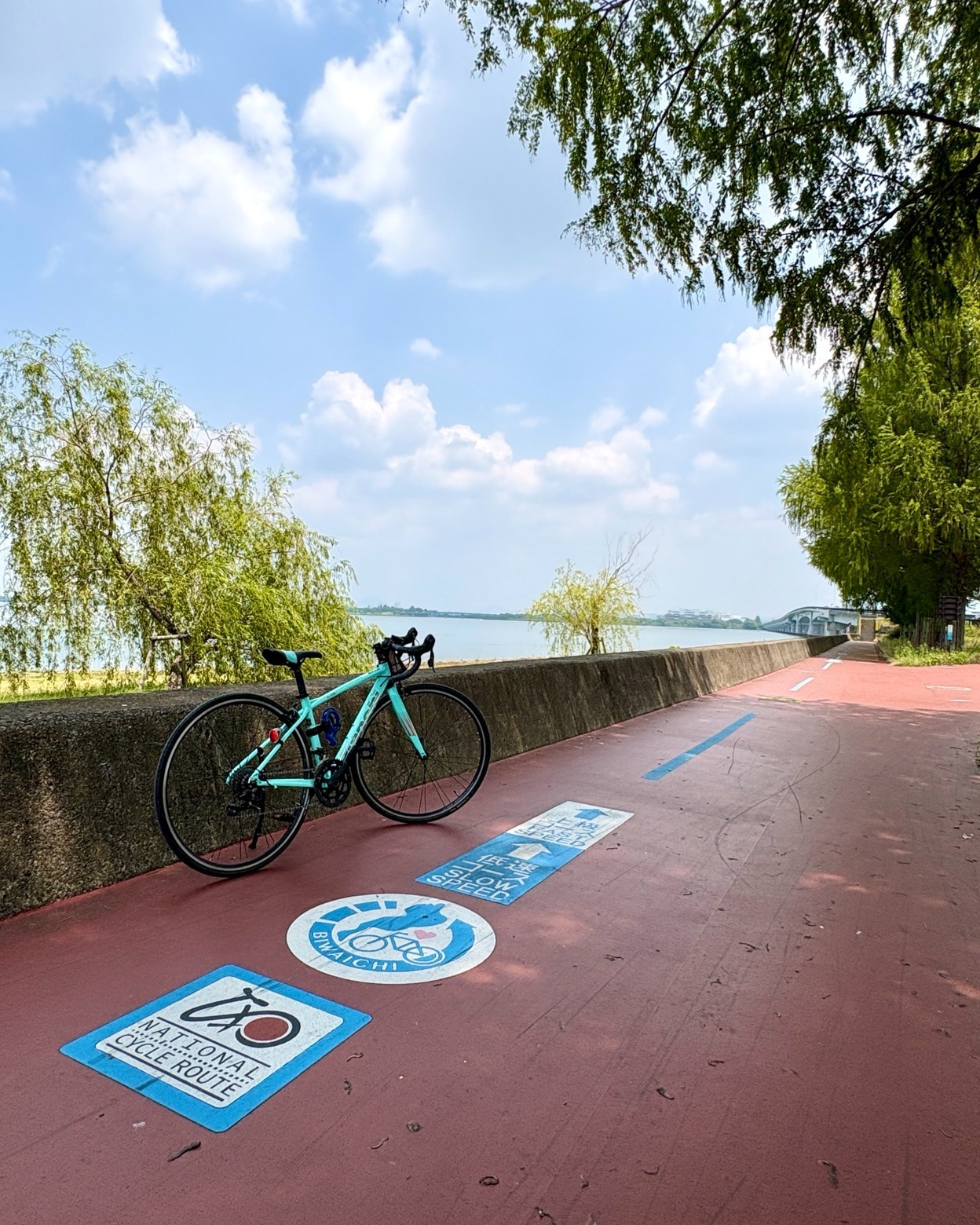 ビワイチバイク Biwako Rental Bike Shop | Otsu-shi Shiga