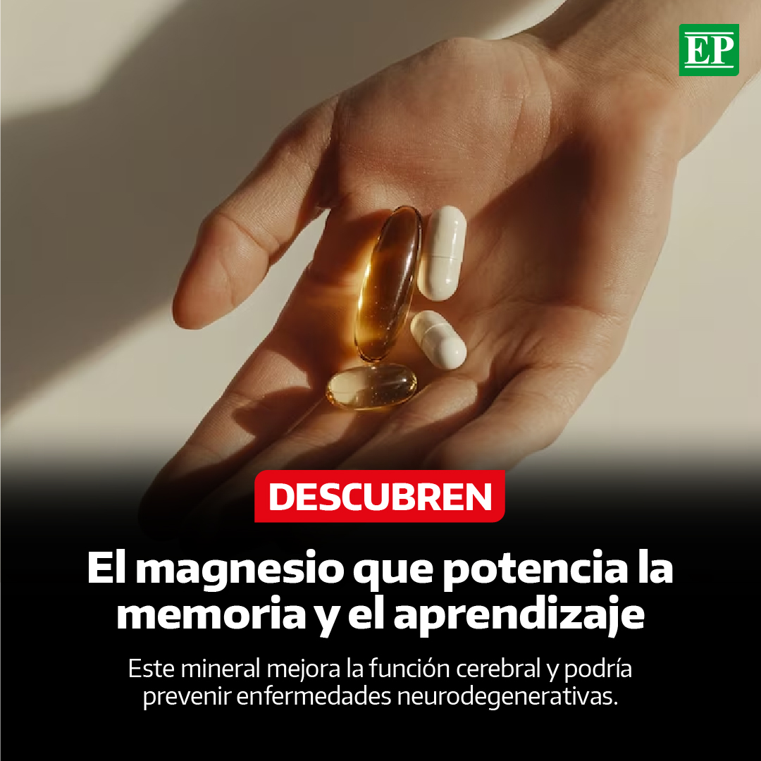 TREONATO DE MAGNESIO | L-Treonato de Magnesio con Omega 3 | 60 Cápsulas