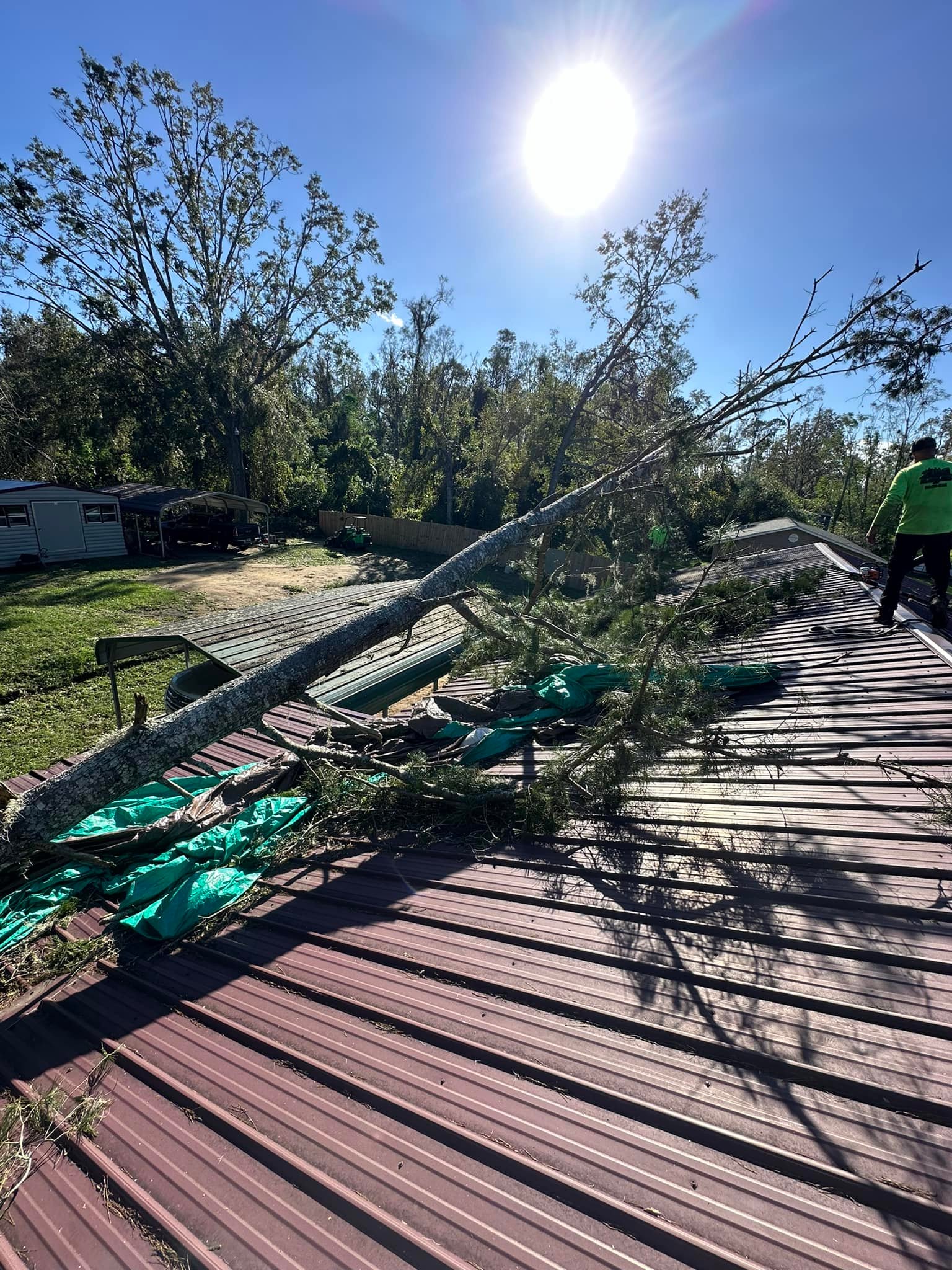 Top Notch Trees and land clearing LLC | Riverview FL