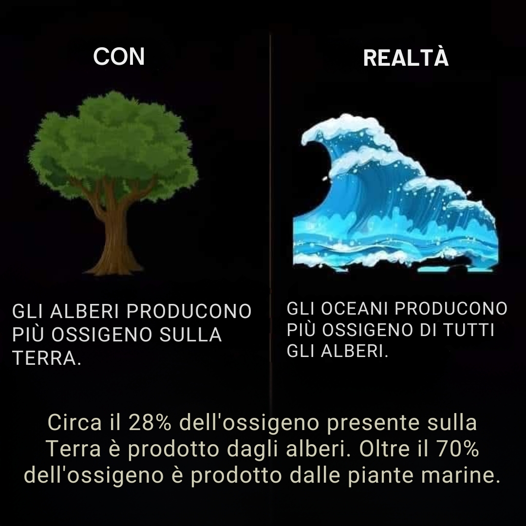 La Giornalista