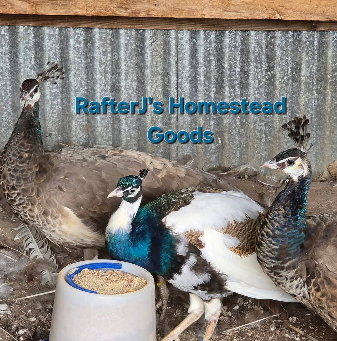 Rafter Js Homestead Goods... - Rafter Js Homestead Goods