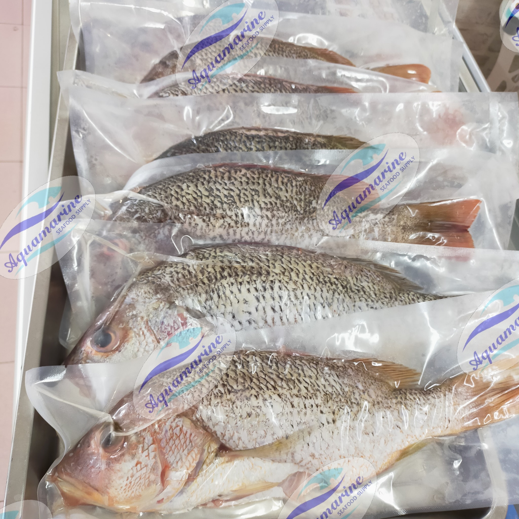 Fresh Jenak in d house. Cleaned &... - Aquamarine Seafood | Facebook
