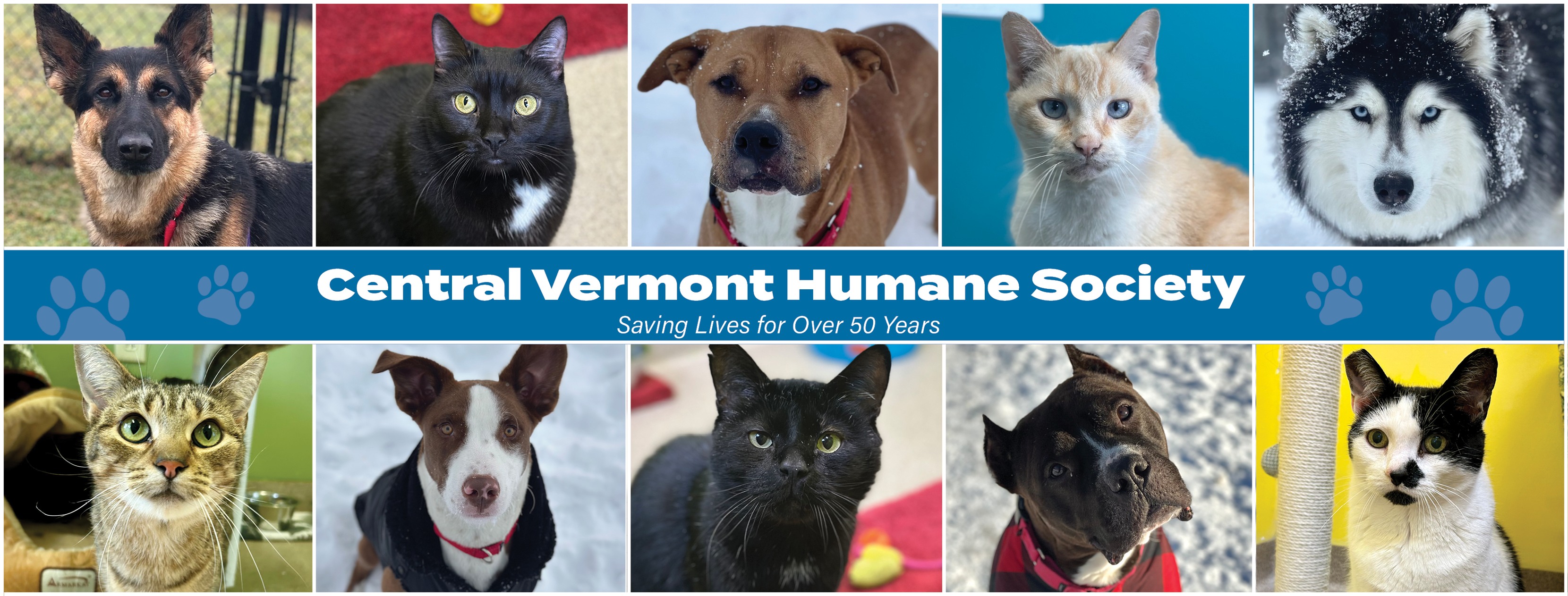 Central Vermont Humane Society | East Montpelier VT
