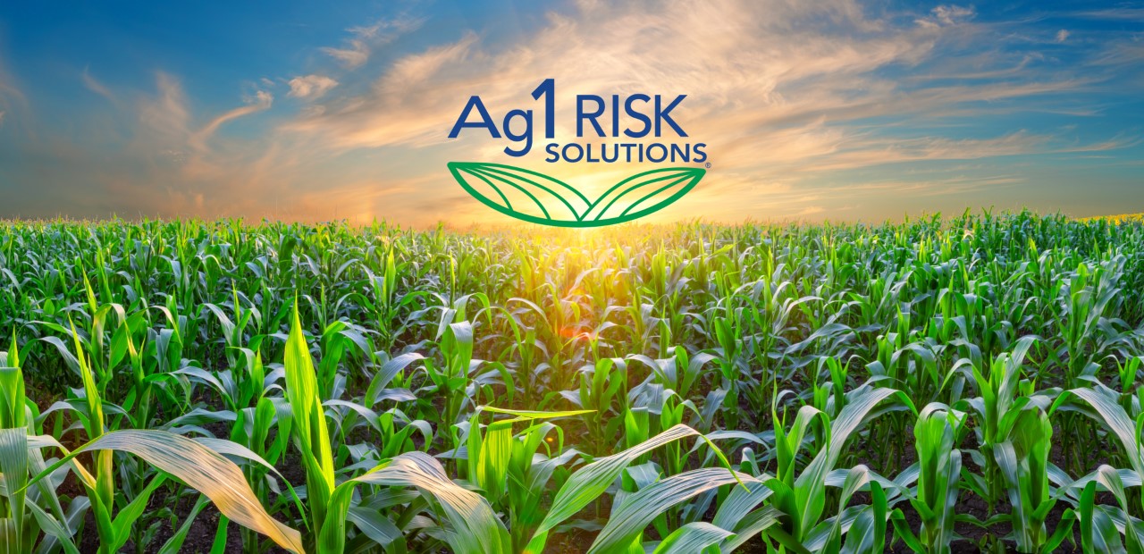 Ag1 Risk Solutions LLC | Renville MN