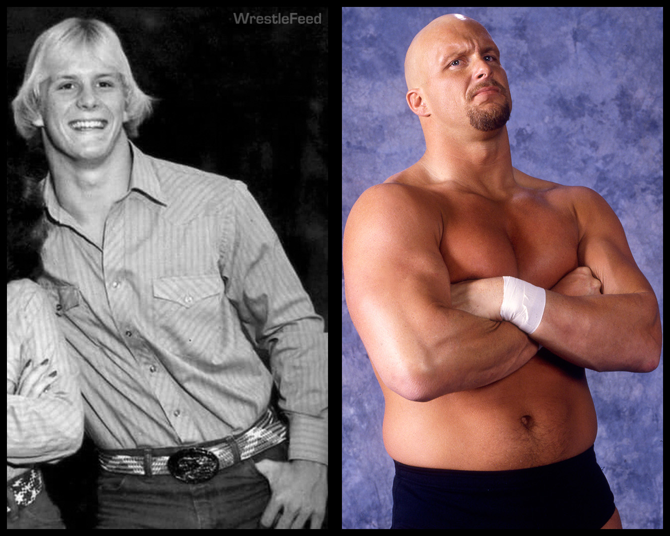 Before they were WWF Superstars: 