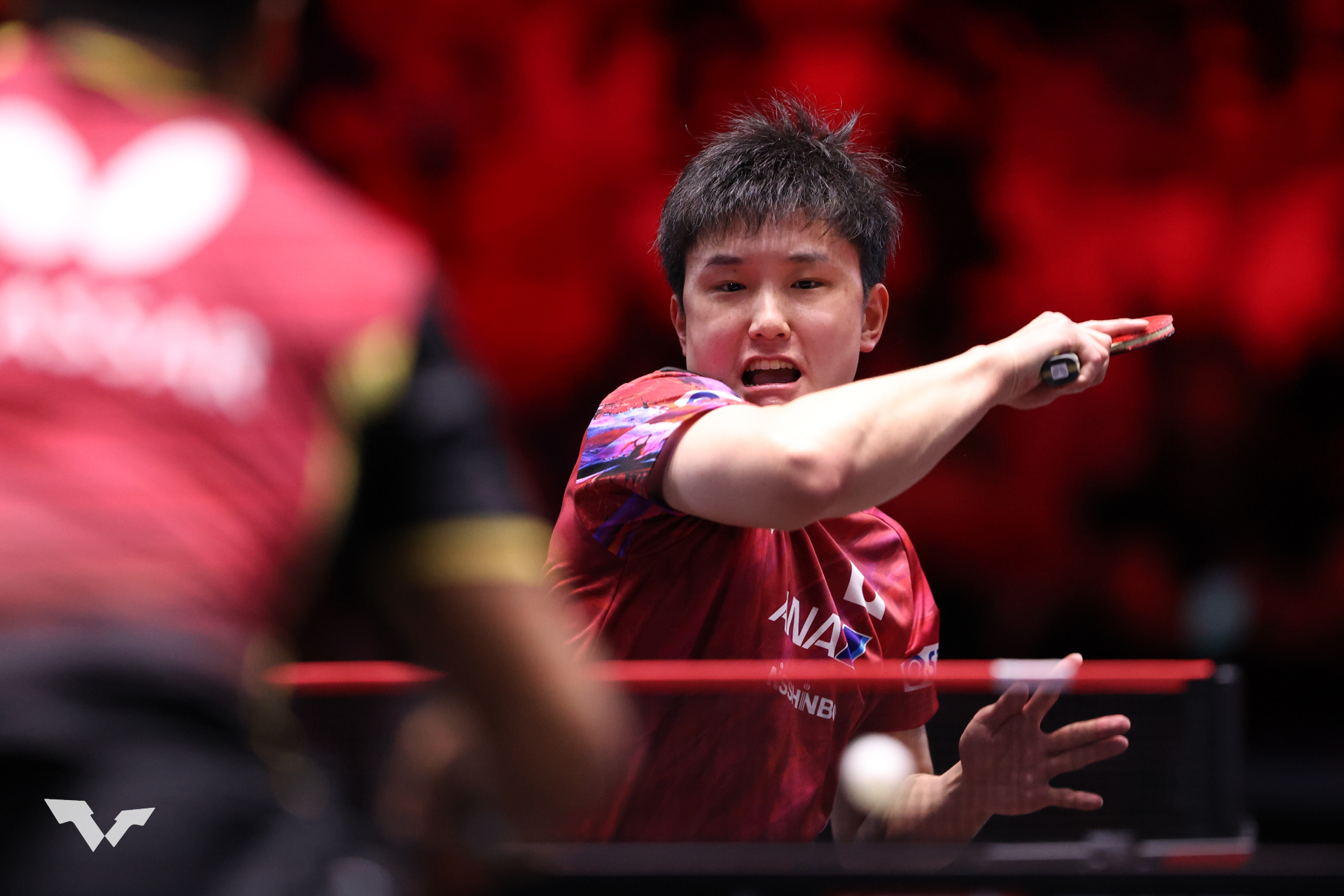 張本智和がアフリカ王者を圧倒！💪 ストレート勝利で初戦突破