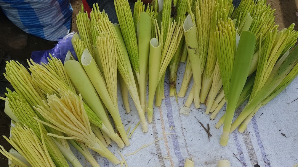 Las pacayas. Otro... - Recetas Ancestrales de Guatemala