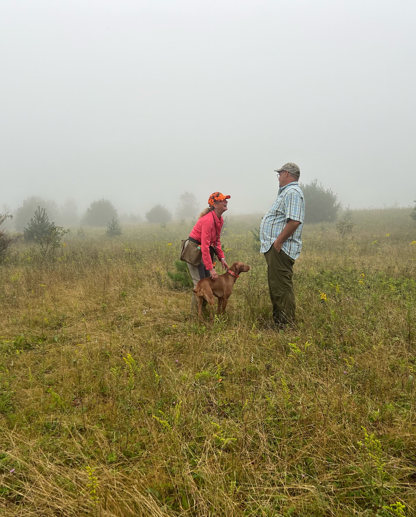 Versatile Hunting Dog Federation