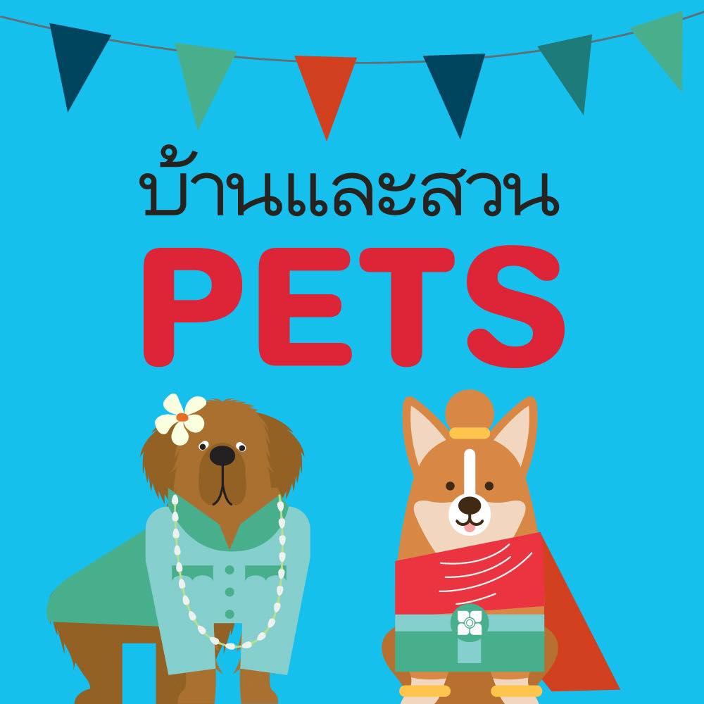 บ้านและสวน Pets - 1.สุนัขพันธุ์บาสเซ็ต ฮาวด์ (Basset Hound) มีถิ่น ...