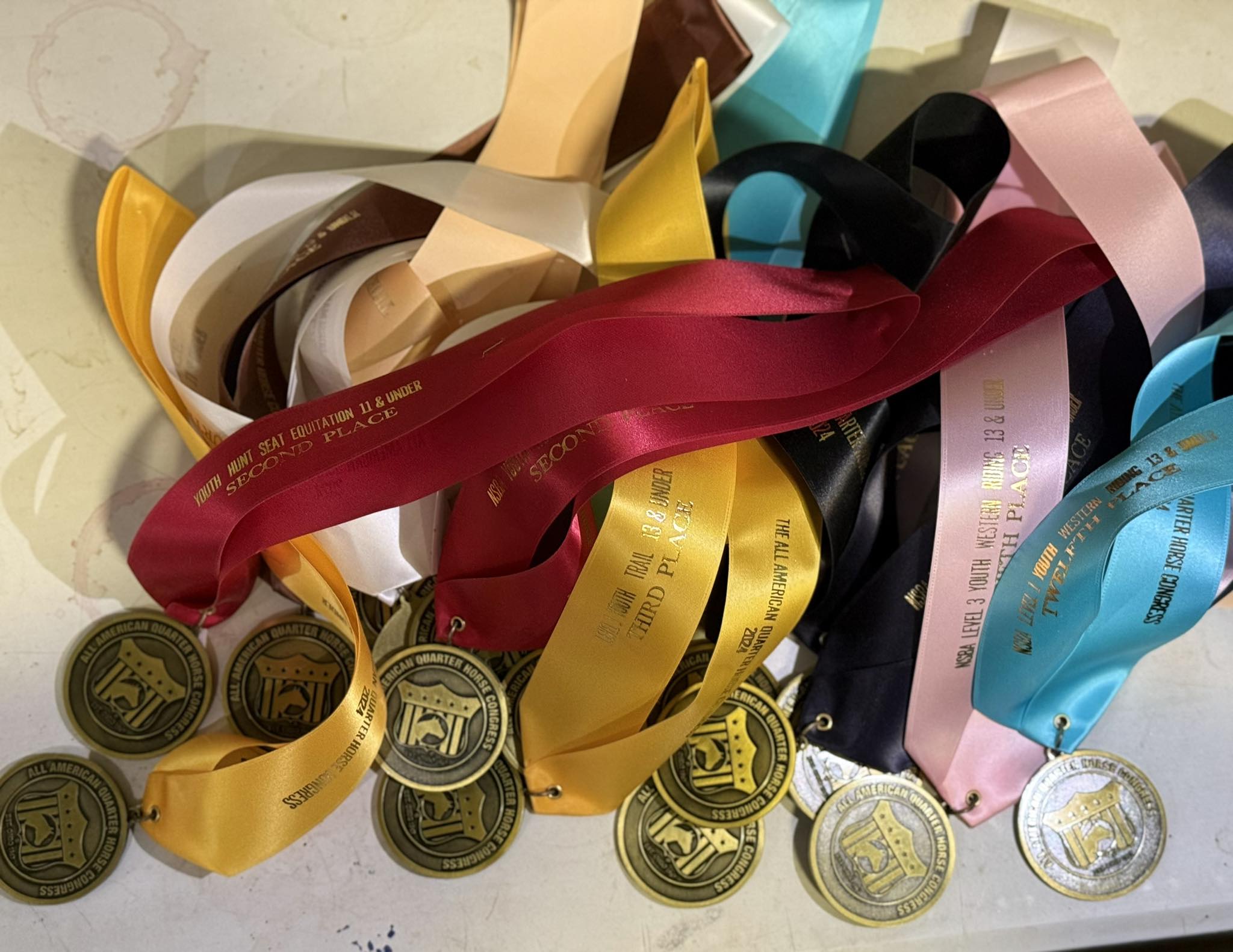 Masterfare Equestrian... - Masterfare Equestrian Center