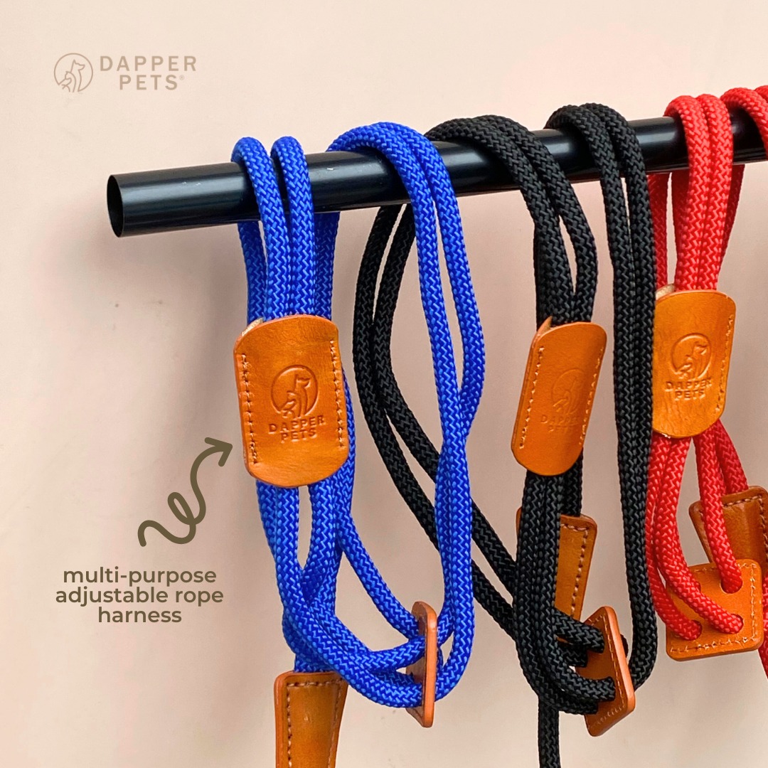 Dapper Pets PH - Adventure-ready with our multi-purpose...