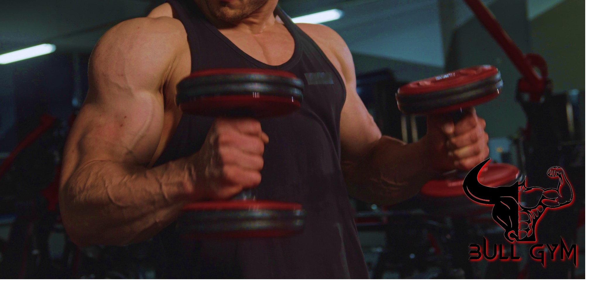 Bull GYM | San Francisco del Rincón Centro