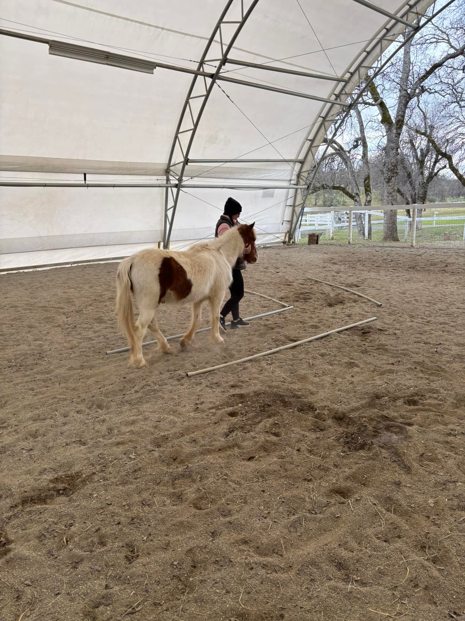 DLB Ranch, Inc | Cottonwood CA