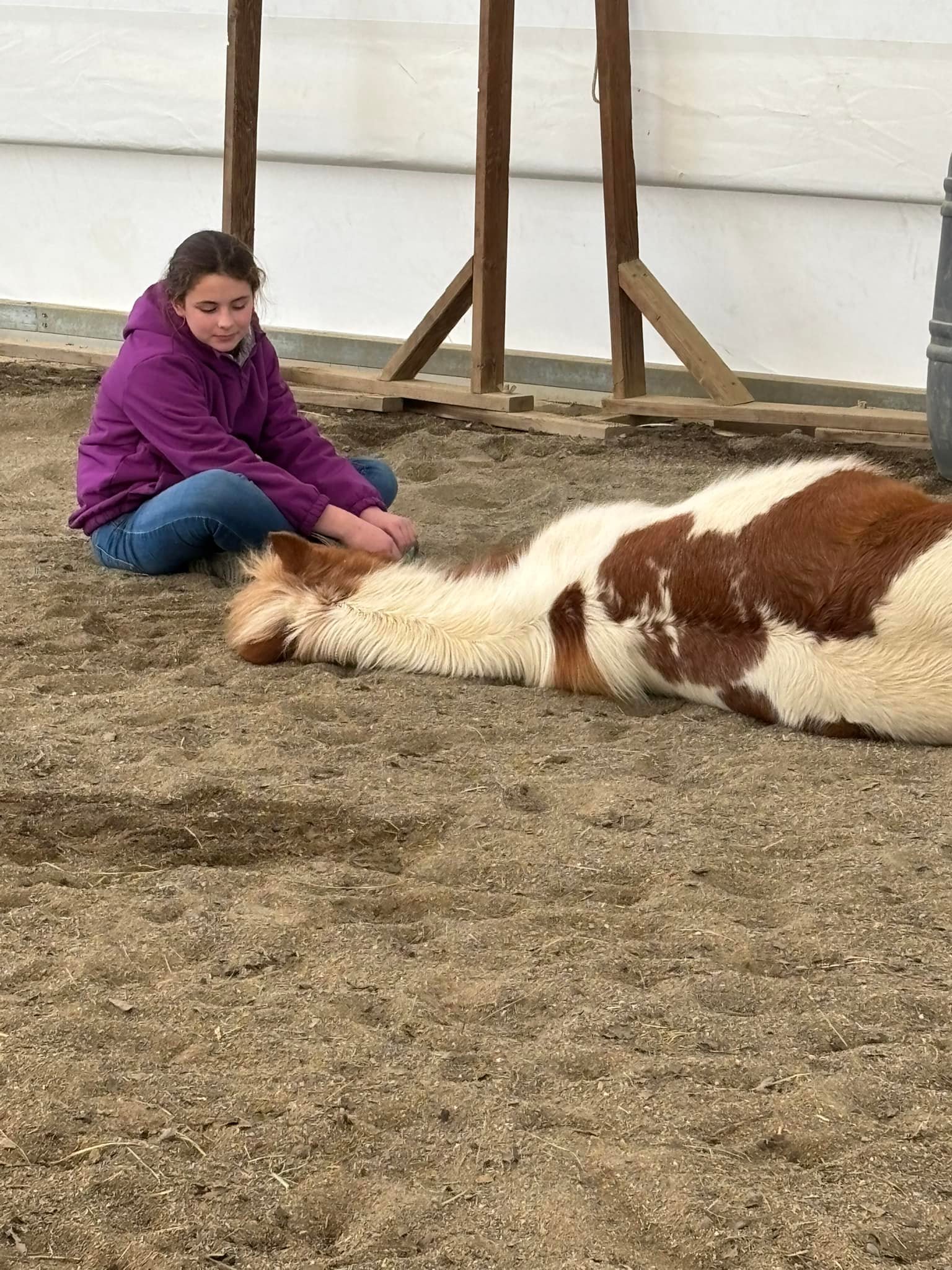 DLB Ranch, Inc | Cottonwood CA
