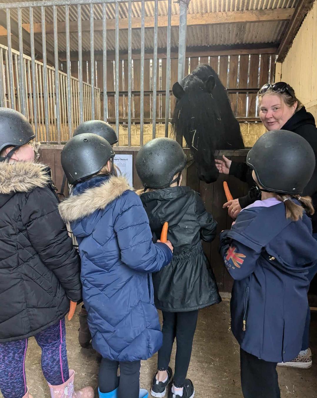 Today at KC... - KC Riding School. Supporting Kc horse rescue | Facebook