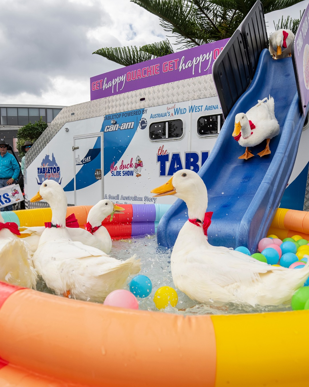 Sydney Royal Easter Show - Only 2 weeks until the gates open for the ...