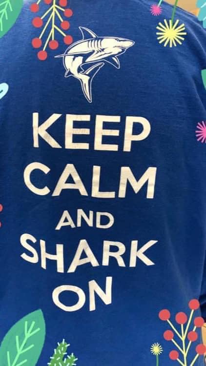 Tampa Curb Sharks | Saint Petersburg FL