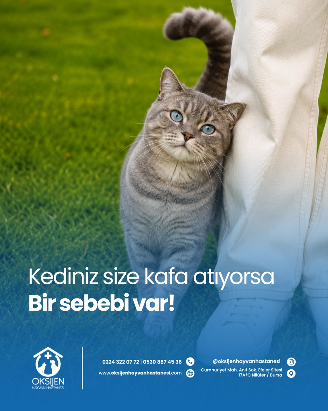 Oksijen Hayvan Hastanesi (@oksijenhayvanhastanesi) • Facebook