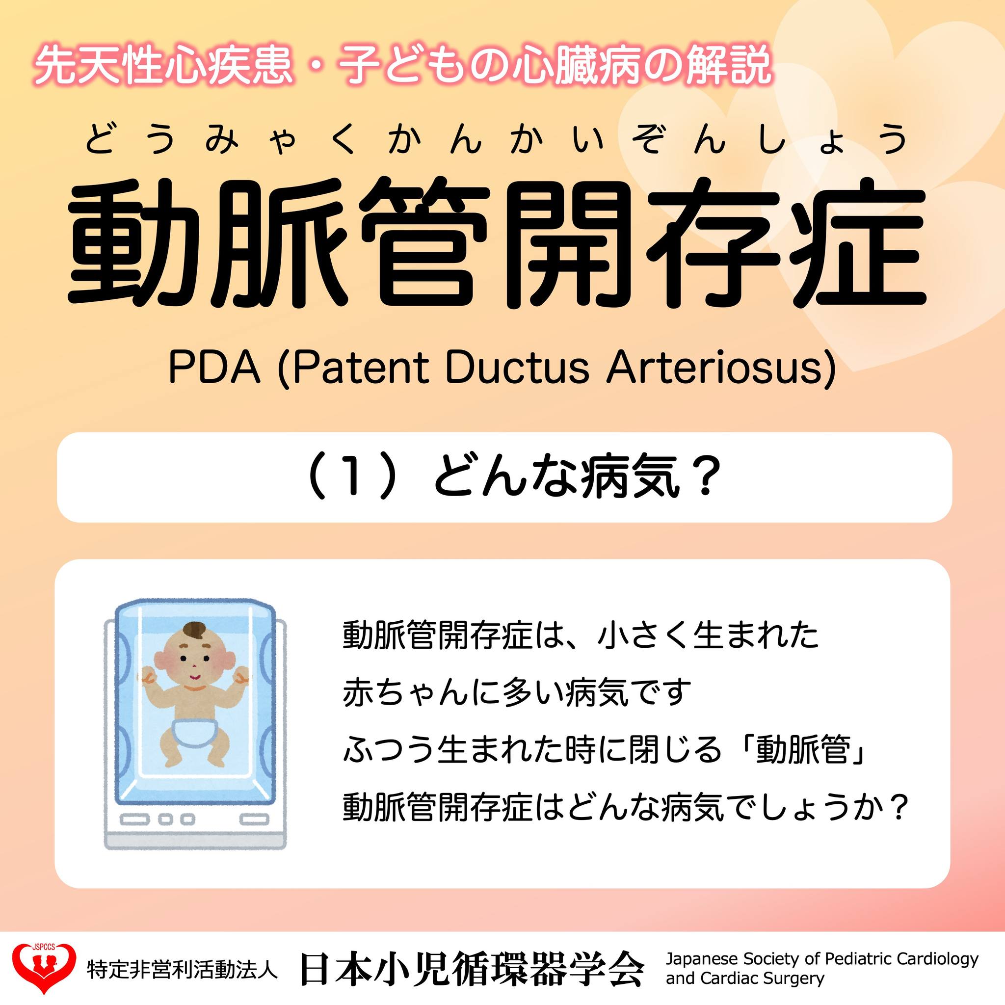 日本小児循環器学会 Japanese Society of Pediatric Cardiology and