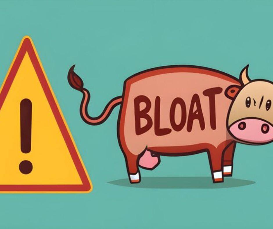 Vet Services Hastings - ️Bloat is a serious and often fatal condition ...
