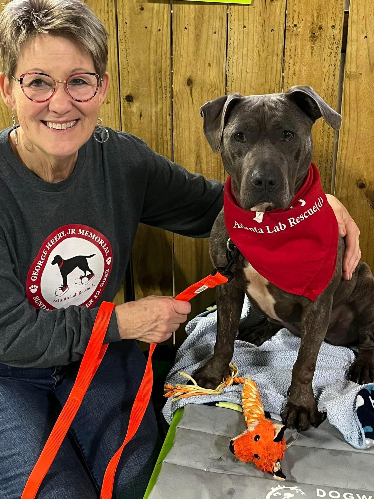 Our little deaf pittie girl, Mae made... - Atlanta Lab Rescue