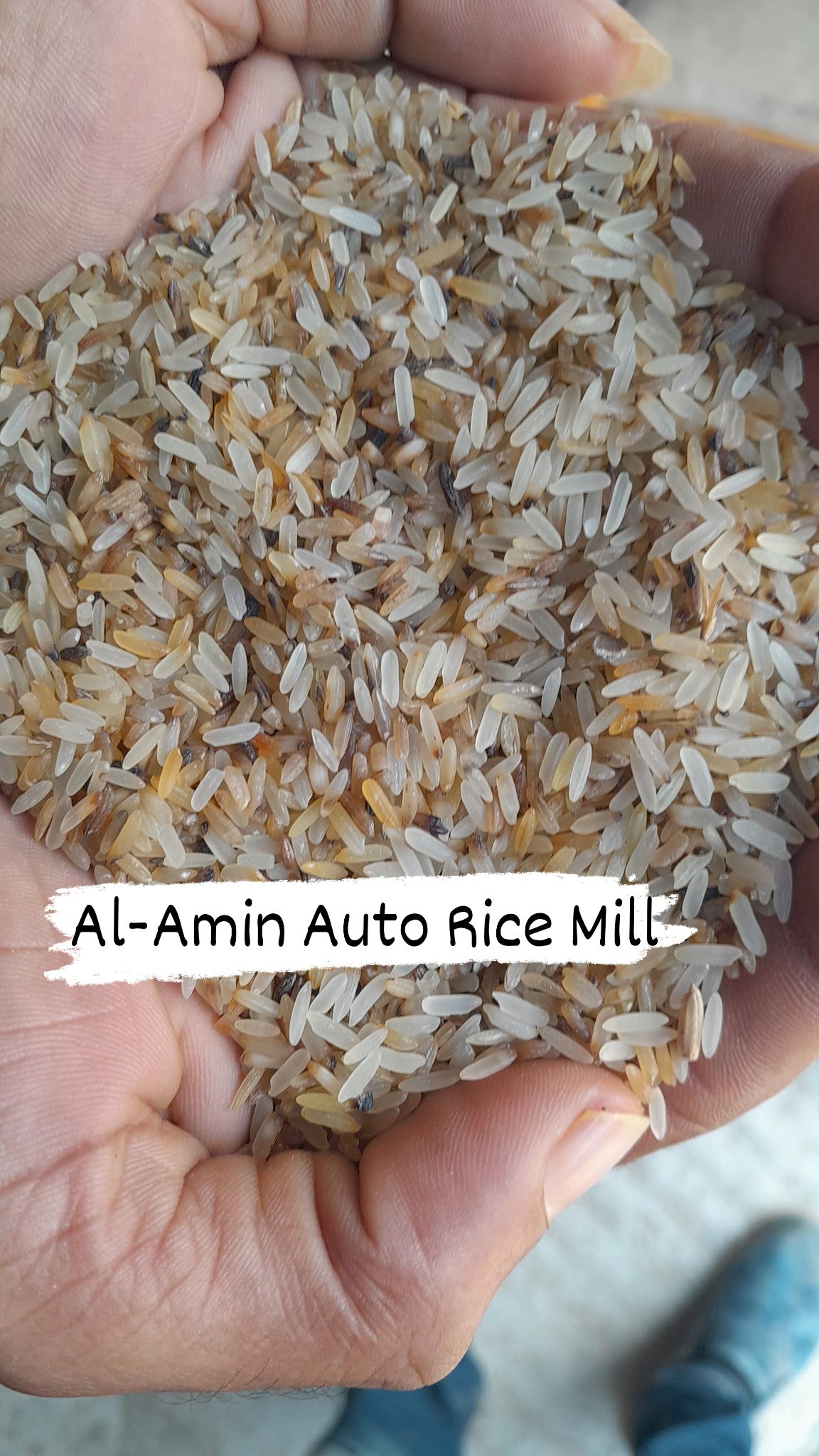 Al-Amin Automatic Rice... - Al-Amin Automatic Rice Mill Ltd.
