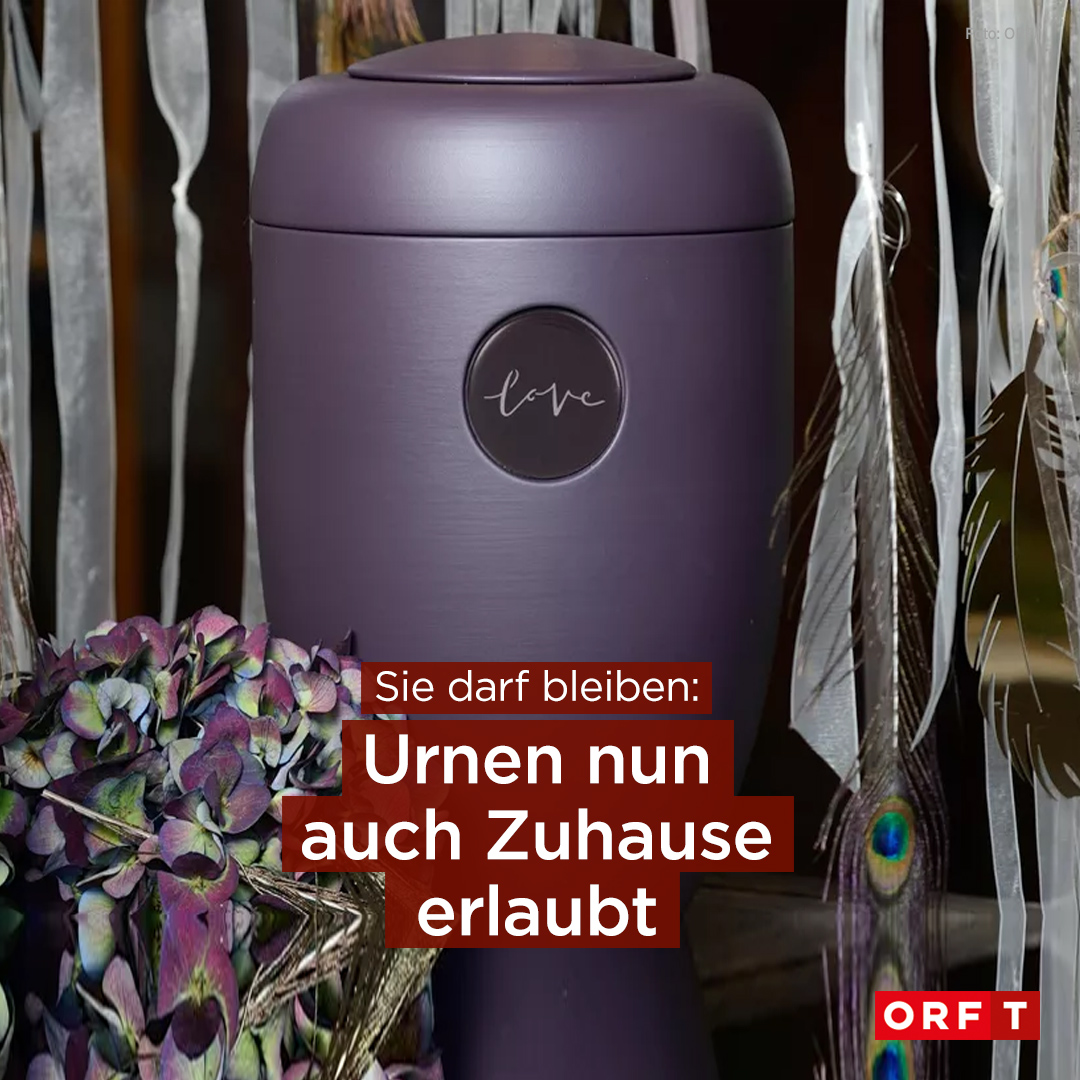 puky fahrrad grün Cyke 20-7 Active Alu Kinder Sport & Freizeit Farbe:Creme White Bundles_Winter_Accessories Ancheer EBike How to