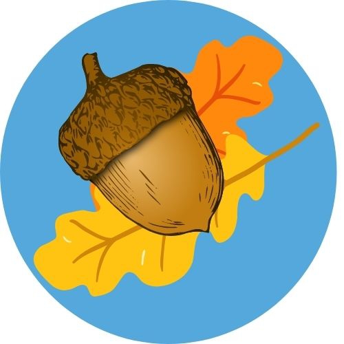 Acornbuttonarts