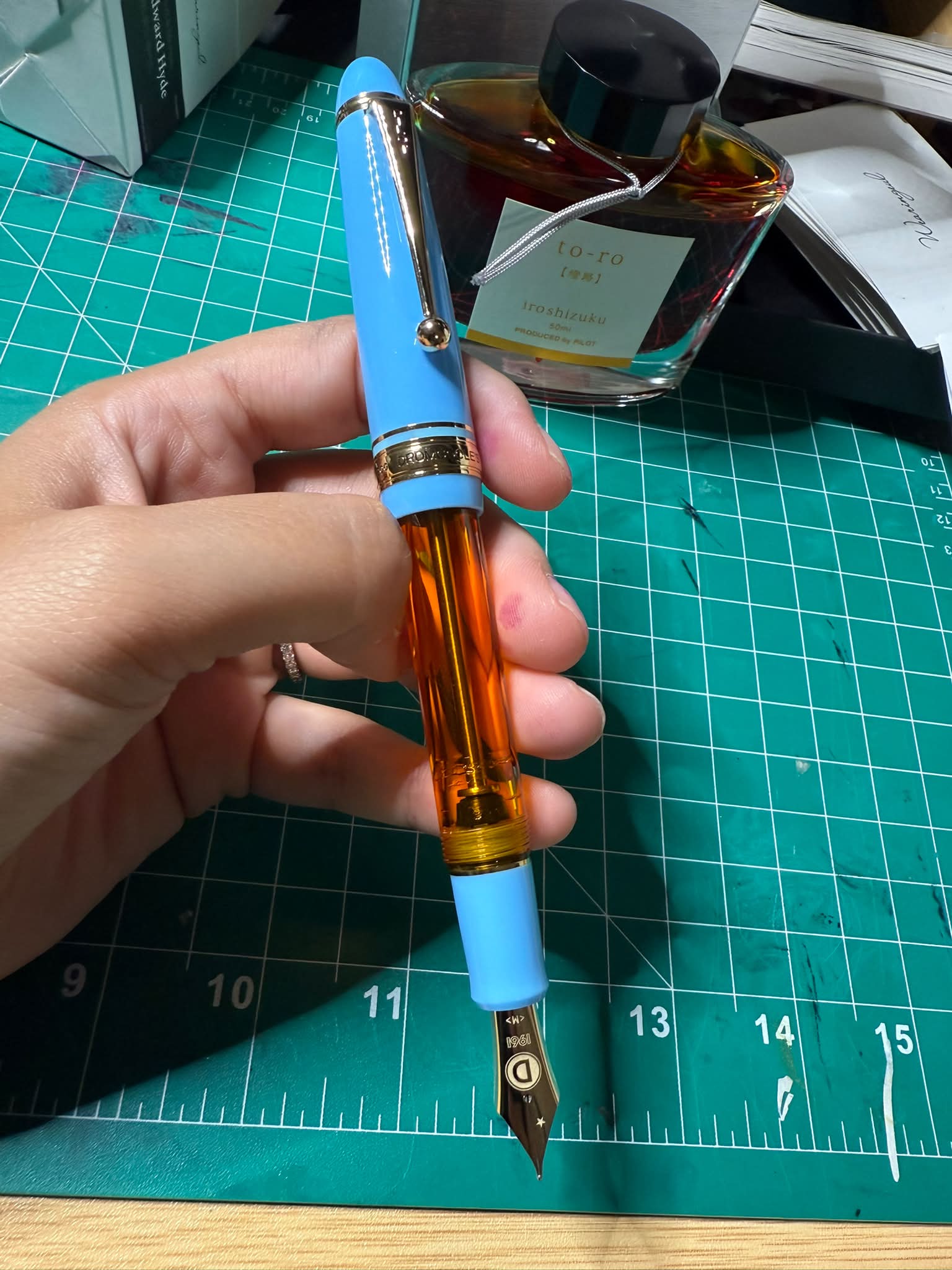 Introduction and customized Pilot Custom 67 fountain pen