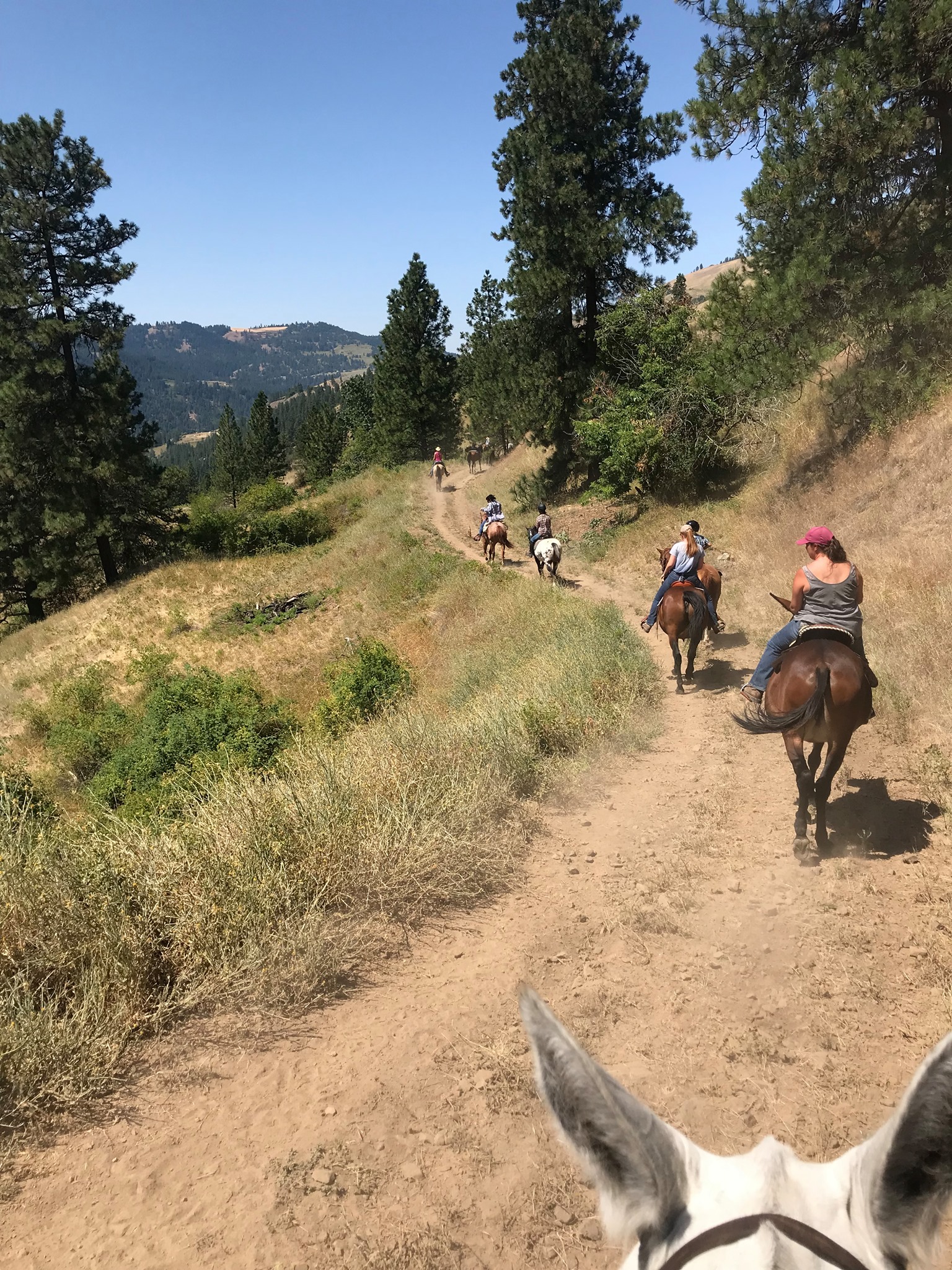 The Getaway Ranch