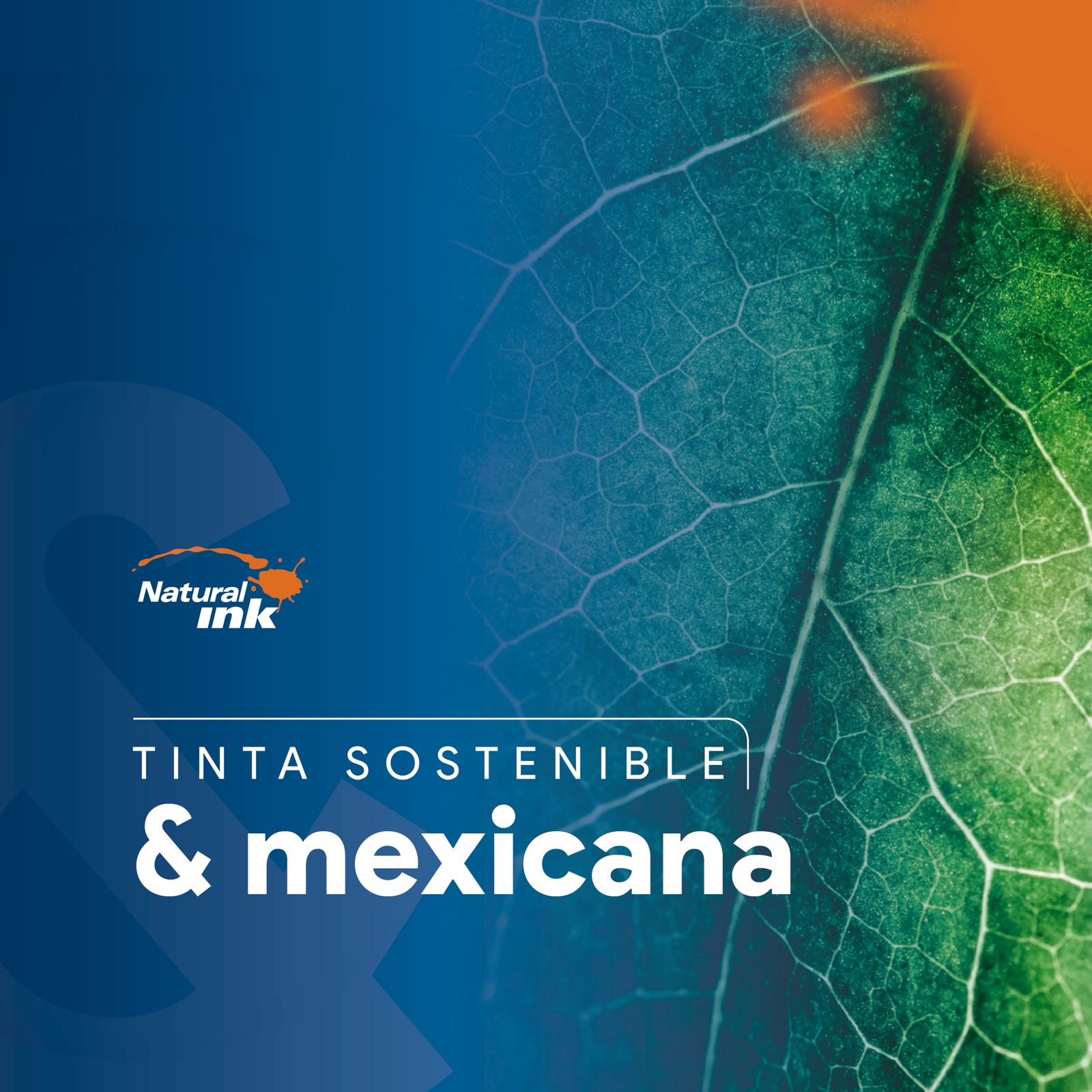 Natural Ink | Mexico City