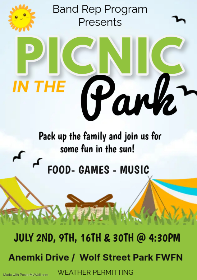 🌳 Picnic in the Park Update 🌳... - Fort William First Nation | Facebook