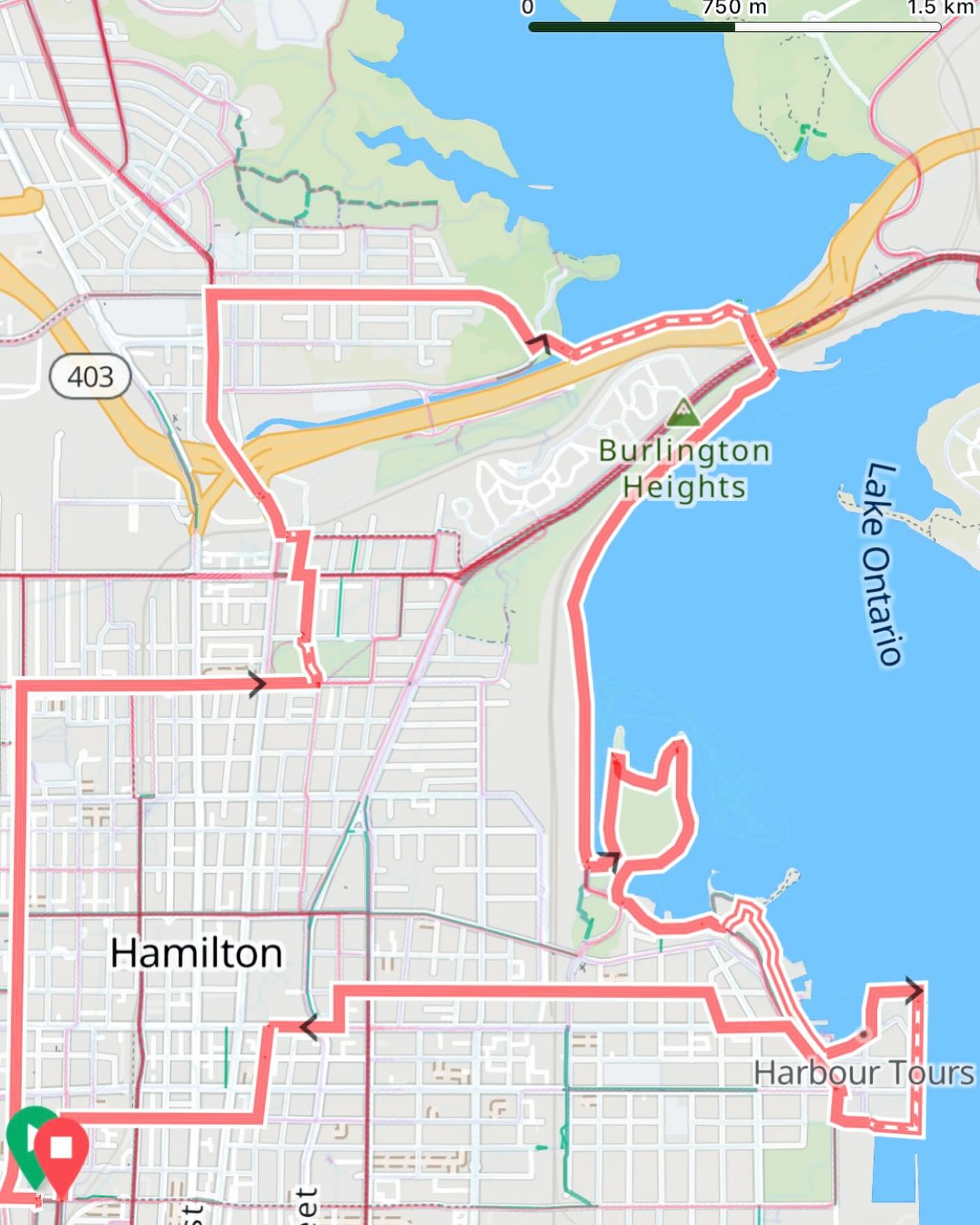 Hamilton Glowriders