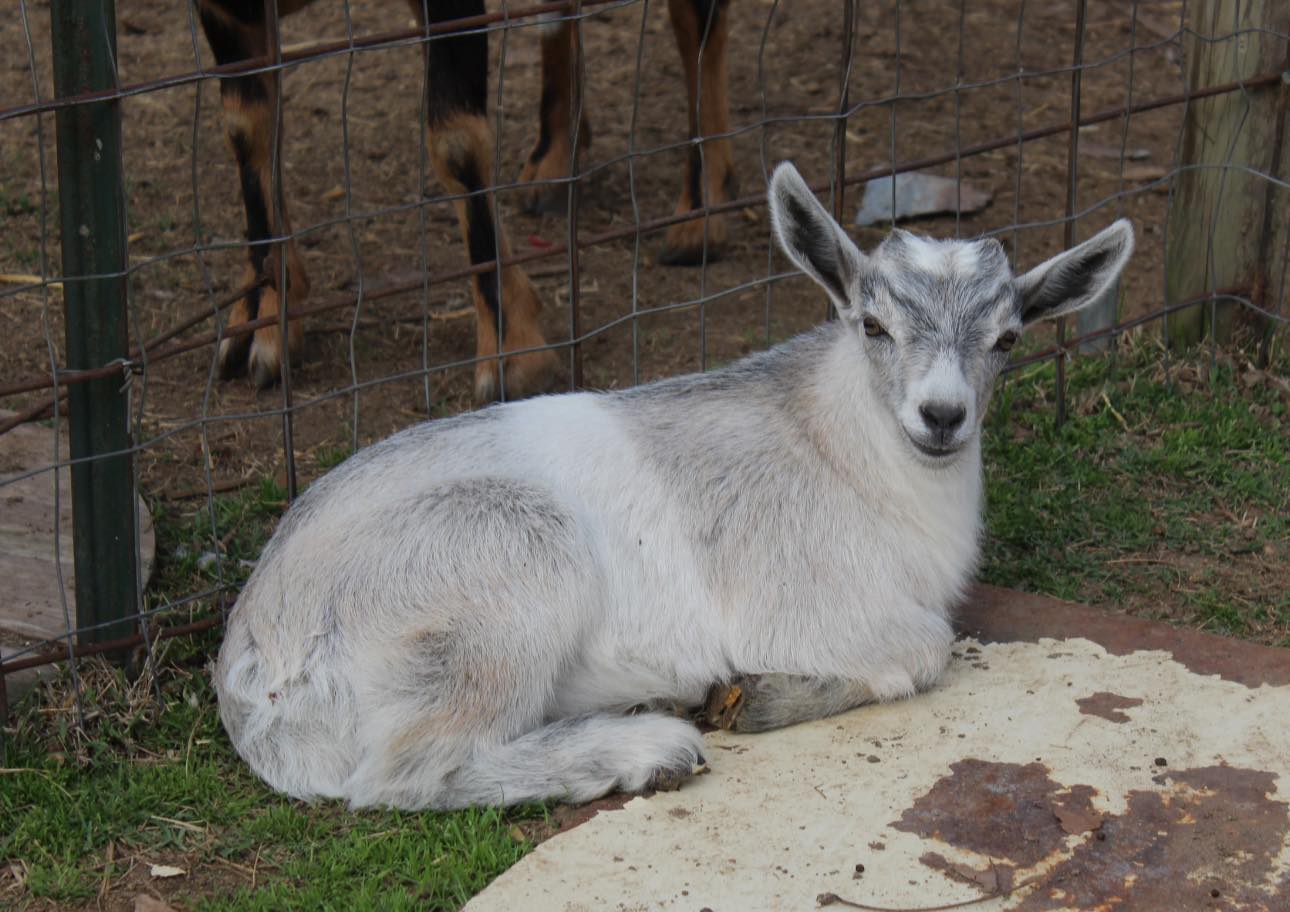 Sprinkle Farms