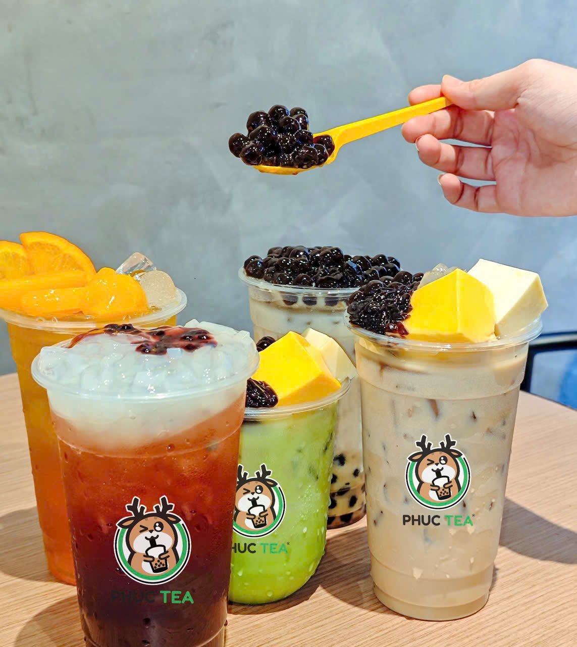 Trà Sữa Phúc Tea Phan Rang | Phan Rang- Thap Cham