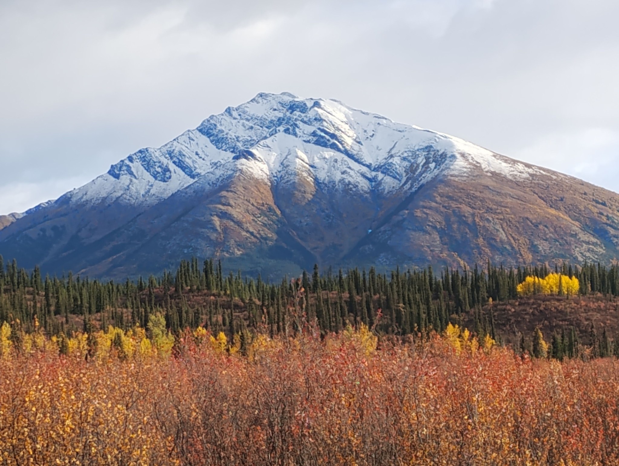 Yukon wilderness