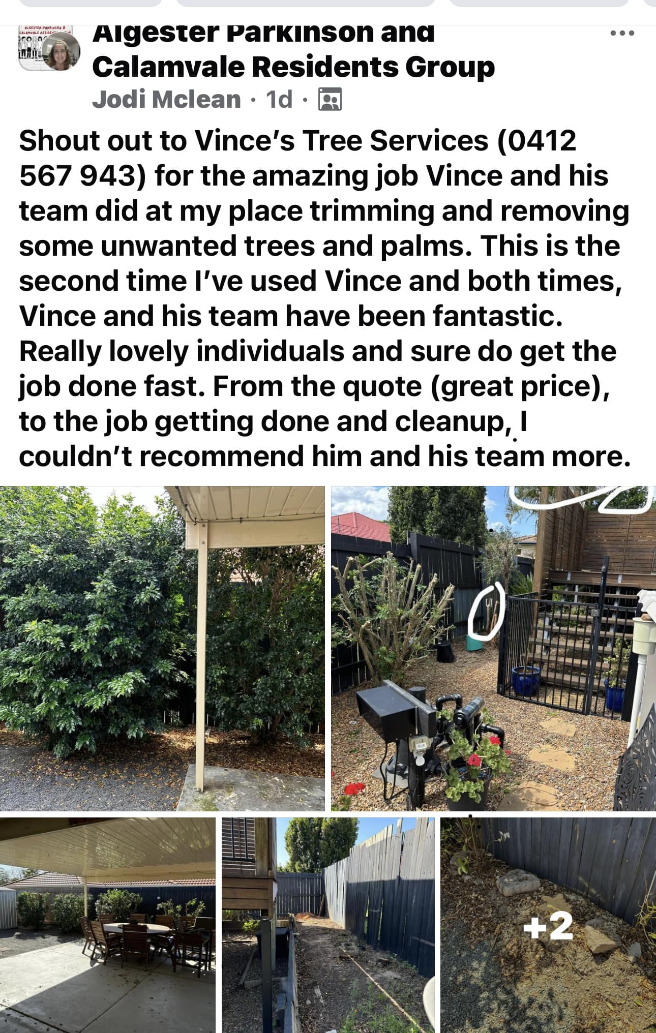 Vince's Tree Services