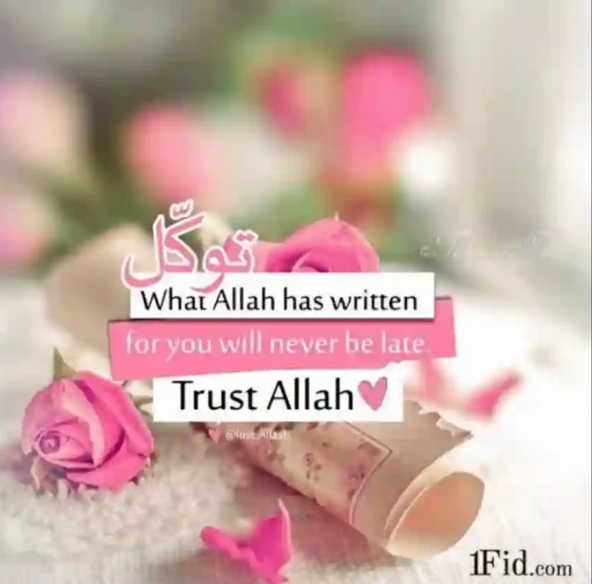 Sultana Khatun - Good morning everyone🌞 | Facebook