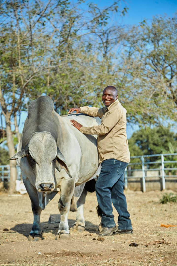 Chibola Chiinda